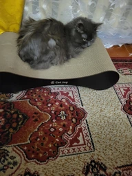 Кігтеточка дряпка з гофрокартону лежанка для котів з картонним фасадом Cat Joy Modern Whitish 54x13x25 см