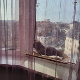 Лежанка для кошек оконный гамак с присосками на окно Sunny Seat Mounted Cat Bed до 22 кг Лёгкая Бежевая (3026)