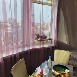 Лежанка для кошек оконный гамак с присосками на окно Sunny Seat Mounted Cat Bed до 22 кг Лёгкая Бежевая (3026) фото от покупателей 1