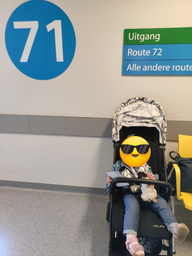 Прогулянкова компактна коляска Peg-Perego Selfie Mon Amour Рожеве золото (IP22000000BA36DX19)