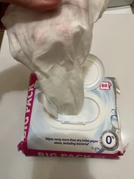 Вологий туалетний папір Zewa Pure Moist, 42 шт