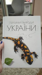Книга "Жемчужины природы Украины" Станкевич Т.О.