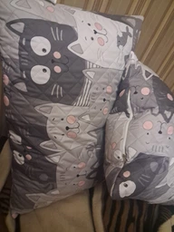 Подушка Руно Grey Cat антиаллергенное волокно 50х70 см (Р310.52СЛУ_Grey Cat) фото от покупателей 14