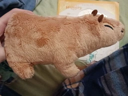 Плюшевая мягкая игрушка Капибара Capybara тренды TikTok декор для детской комнаты подарок на день рождения 18см фото от покупателей 3