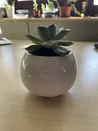 Керамический горшок для суккулентов Mini Plant маленького размера 6,2х6,3см Круг Красный фото от покупателей 2