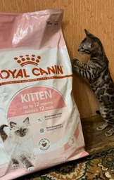 Корм Royal Canin Kitten сухой для котят 2 кг фото от покупателей 11
