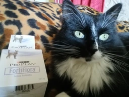 Пробіотична добавка для котів і кошенят Purina Pro Plan FortiFlora Feline Probiotic 1г фото від покупців 13