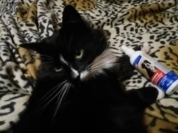Спрей для відлякування тварин Trixie 2928 175 мл (4011905029283) фото від покупців 1