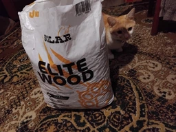 Наповнювач універсальний для котів, гризунів SolarCat Elite Wood Деревний вбирний 3 кг (482027213001) фото від покупців 2