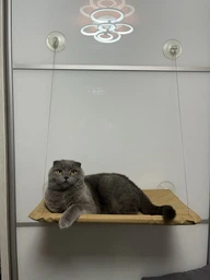 Лежанка для кошек оконный гамак с присосками на окно Sunny Seat Mounted Cat Bed до 22 кг Лёгкая Бежевая (3026) фото от покупателей 1