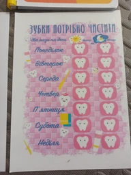 Зошит пиши-стирай ”Розумні монстрики” Творчі завдання фото от покупателей 2