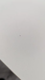 Стол с электрорегулировкой высоты RZTK eDesk 2 1200 х 600 мм Black фото от покупателей 2