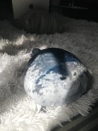Плюшевая мягкая игрушка Тюлень Seal (20 см) тренды TikTok декор для детской комнаты подарок на день рождения фото от покупателей 15