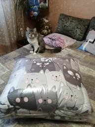Ковдра Руно зимова двоспальна 172x205 см антиалергенне волокно Grey Cat (Р316.52СЛУ_Grey Cat) фото від покупців 1