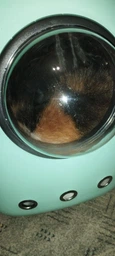 Рюкзак для переноски кошек и собак с иллюминатором CosmoPet Мятный