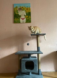 Будиночок кігтеточка для кота кішки котика дряпка царапка Мур Мяу Буржуй 40 х 60 х 96 см кігтедралка вертикальна котяча точилка для кігтів котів кішок котиків у джутовій мотузці з будиночком лежанкою та клубочком дражнилкою сірий МТ будиночки кігтеточки фото від покупців 18