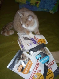 Сухой корм для котов Royal Canin Urinary S/O уринари 1.5 кг 39010151 фото от покупателей 12