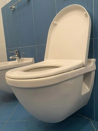 Сиденье - крышка для унитаза DURAVIT Starck 3 006389 микролифт фото от покупателей 3
