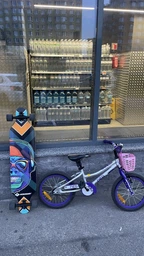 Лонгборд Schildkröt Longboard Freeride 41" Cool Chimp 2020 v Мультиколор (4000885106909)