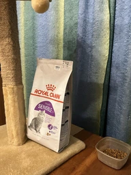 Сухой корм Royal Canin SENSIBLE для взрослых кошек с чувствительным пищеварением 400 г (3182550702263) фото от покупателей 9