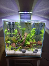 Акваріум Collar aGLASS Nano 27 л (0395) фото від покупців 4