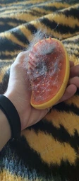 Паровая щетка расческа для вычесывания шерсти котов 3 в 1 Steamy Cat Brush Желтая фото от покупателей 1