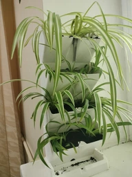 Каскад вертикальный Mini Cascade Белый (IO1W200-S449)
