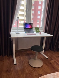 Стол с электрорегулировкой высоты RZTK eDesk 2 1200 х 600 мм Black
