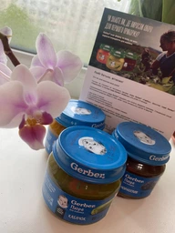 Дитяче пюре Gerber Чорнослив з 6 місяців 80 г (7613033513978) фото від покупців 14