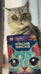 М'ясна миска - Консервований корм з яловичиною для дорослих котів 100 г (4820255192376) фото від покупців 1