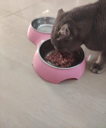 Упаковка вологого корму для дорослих котів М'ясна Миска шматочки в соусі зі смаком птиця 100 г 24 шт. фото від покупців 5