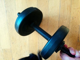 Гриф гантельний Newt ABS 35 см 25 мм (N-GR-35)