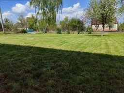 Газонная трава DSV Euro Grass Universal Lawn Универсальная 5 кг