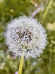 Професійний набір HD об'єктив 2в1 Макро та фішай лінза. 0,45 / 12,5 macro lens для телефону
