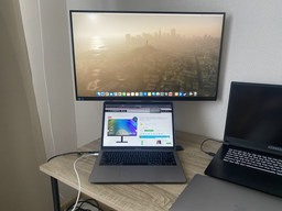 Монитор 27" Samsung ViewFinity HRM S60UD (LS27D604UAIXCI) IPS / 2K QHD / 100Hz / 8-Bit+FRC / USB-C 90W / LAN (RJ45) / HAS / Povot / Picture-By-Picture фото от покупателей 7