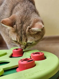Nina Ottosson Buggin Out Puzzle & Play Игрушка-головоломка для котов, 1 шт