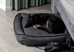 Лежак ліжко для собак та котів EGO Bosyak Рогожка XS 50x45 Какао (Ортопедична лежанка для собак до 4 кг) фото від покупців 2