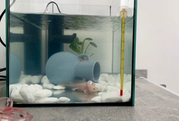 Внутрішній фільтр для акваріума Aquarium Systems New-Jet Filter S фото від покупців 1