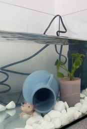 Внутрішній фільтр для акваріума Aquarium Systems New-Jet Filter S
