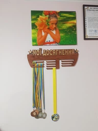 Медальница с фанеры "Мои достижения" Вишня
