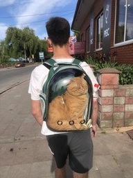 Прозорий рюкзак для перенесення тварин Pet Cat для котів та собак Yellow фото від покупців 19