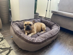 Овальный Лежак Harley and Cho Donut Soft Touch Ocean L 100х70х21 cm Голубой для собак (3102868) фото от покупателей 3