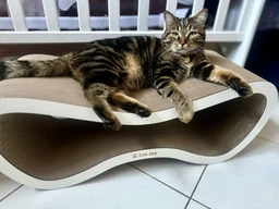 Когтеточка из картона усиленного с деревянным фасадом Cat Joy Fusion Beige 77x29x29 см фото от покупателей 2