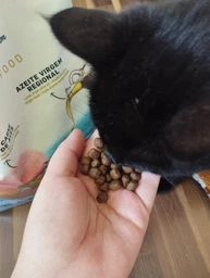 Беззерновой Корм для Стерилизованных Кошек со Свежим Мясом happyOne Mediterraneum Sterilized Cat Fresh Meat 2 кг фото от покупателей 4