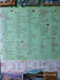 100 первых продуктов планер картонный без магнита овощи 30 х 40 см + маркер