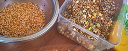 Корм гриз VERSELE-LAGA СRISPY MUESLI 611692 20кг фото від покупців 4