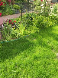 Газонная трава универсальная Green Seeds пакет 1кг фото от покупателей 1