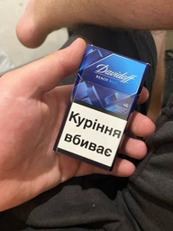Блок цигарок Davidoff Reach Blue х 10 шт (4030600302095)