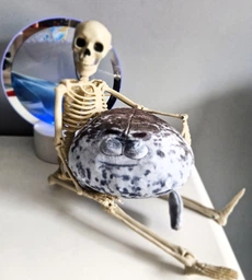 Плюшевая мягкая игрушка Тюлень Seal (20 см) тренды TikTok декор для детской комнаты подарок на день рождения фото от покупателей 9