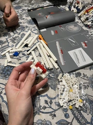 Конструктор LEGO Icons Конкорд 2083 детали (10318) фото от покупателей 11